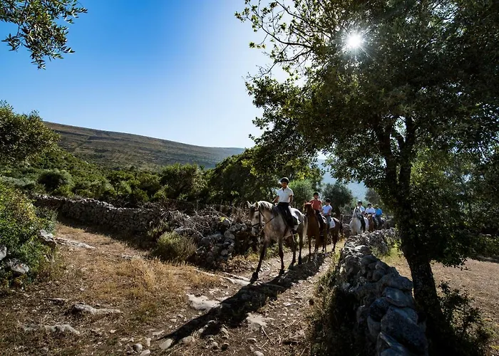 De Aire Country Tatil Evi